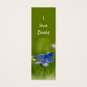 Looks Blue Butterfly Garden Flower