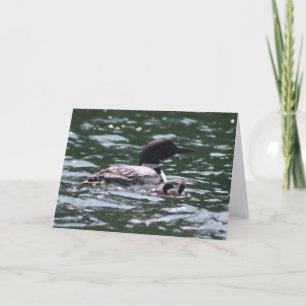 Loon and Two Babies Card