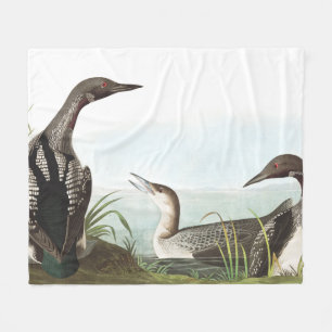 Loon Birds Wildlife Animals Fleece Blanket