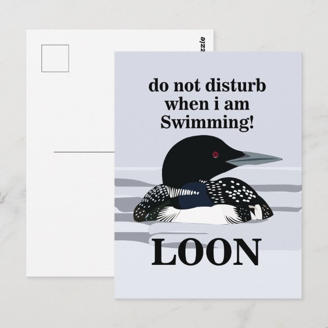 Loon Common Loon Bird Water Lake Funny Postcard (Front/Back)