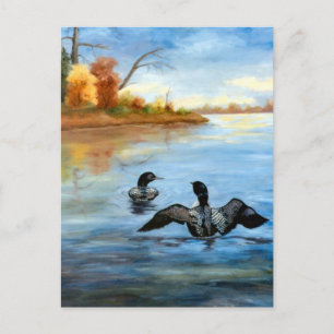 Loon Dance II Postcard