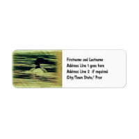 Loon d'époque sur l'eau