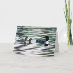 Loon Family Greeting Card