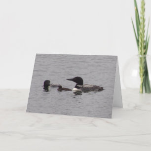 Loon Family  Note Card