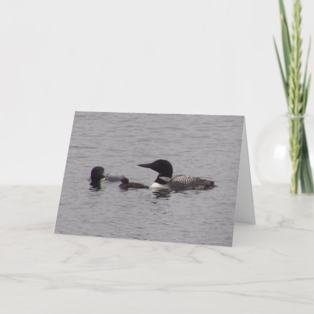 Loon Family  Note Card (Front)