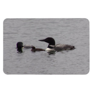 Loon Family on Lake Flexible Magnet