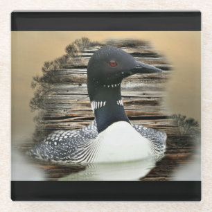 Loon Glass Coaster