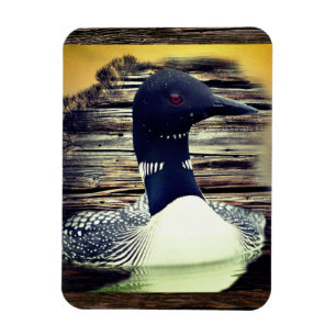 Loon Magnet