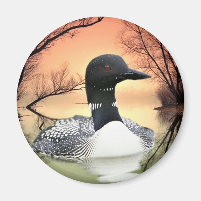 Loon Reflections Magnet (Front)