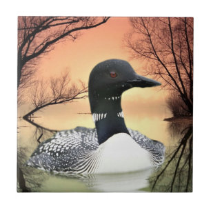 Loon Reflections Tile