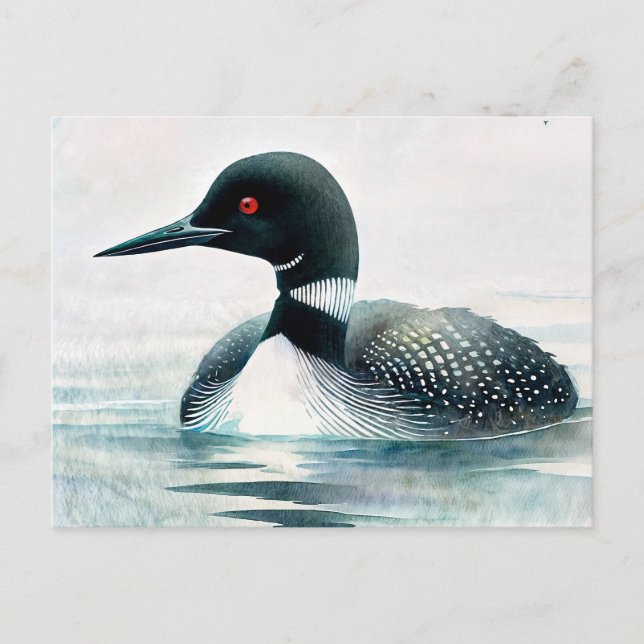 Loon Swimming Watercolor Art Postcard (Front)