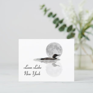 Loon Swims Dans La Carte Postale Moonlight