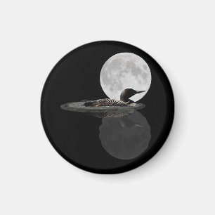 Loon Swims In The Moonlight Magnet