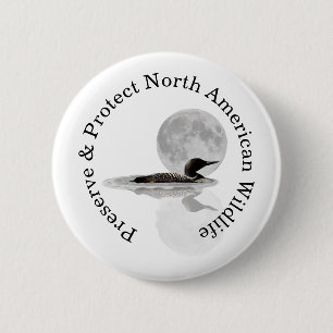 Loon Swims In The Moonlight Pin Button