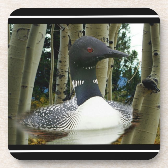 Loon Wilderness Beverage Coaster (Front)