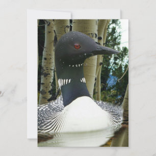 Loon Wilderness Invitation