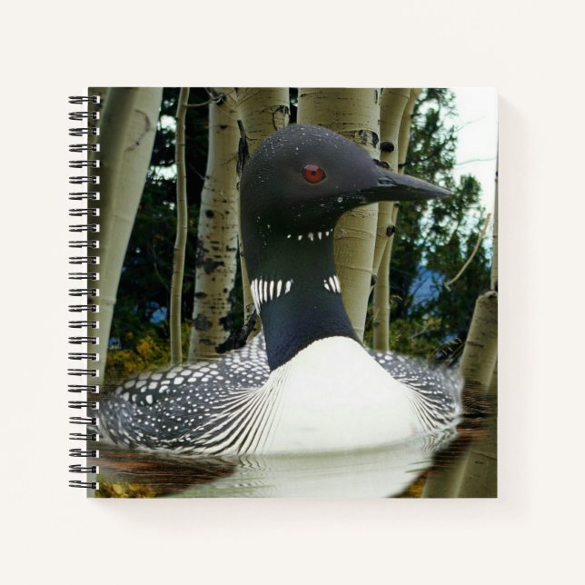 Loon Wilderness Notebook (Front)