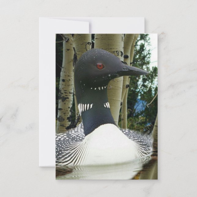 Loon Wilderness Save The Date (Front)