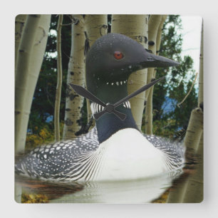 Loon Wilderness Square Wall Clock