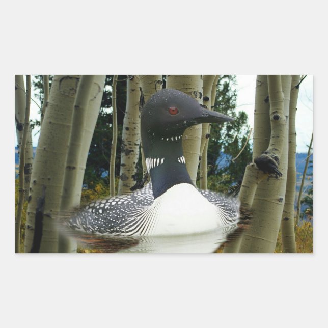 Loon Wilderness Sticker (Front)