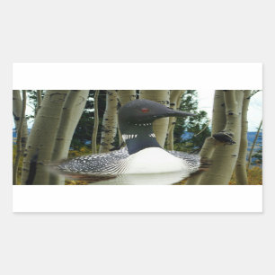 Loon Wilderness Sticker