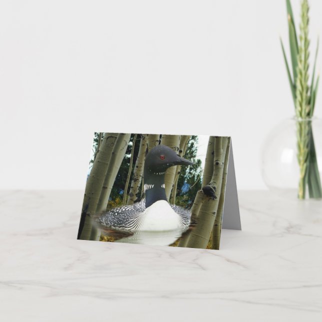 Loon Wilderness Thank You Card (Front)