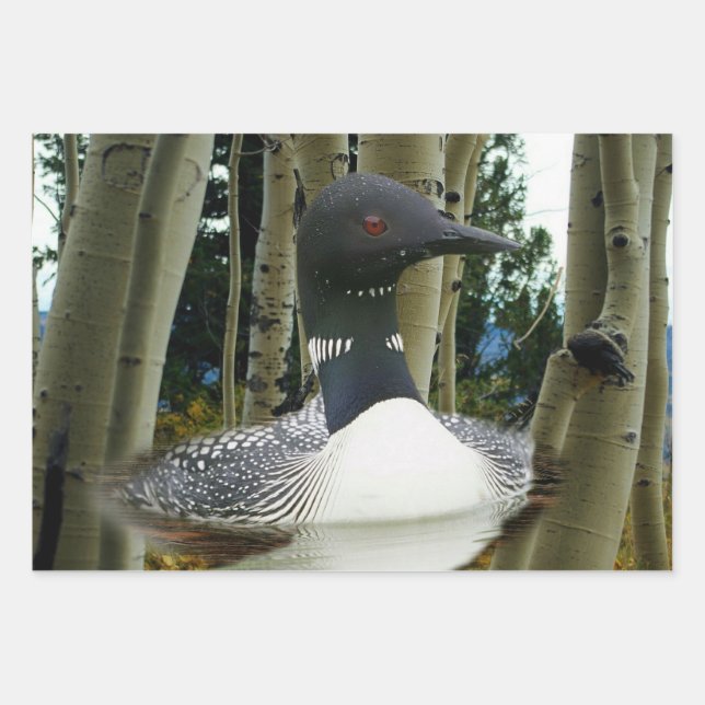 Loon Wilderness Wrapping Paper Sheet (Front)