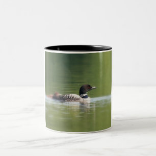 Loon with chick Coffee Mug