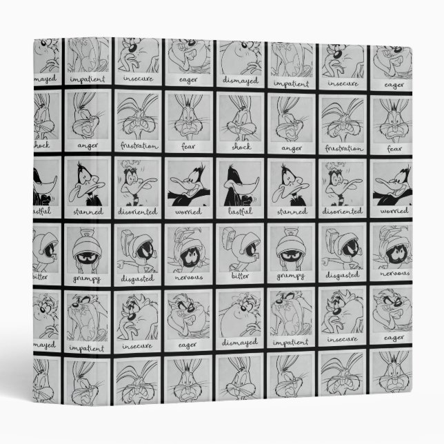 LOONEY TUNES™ Character Emotion Chart Binder (Front/Spine)