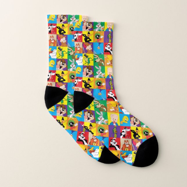 LOONEY TUNES™ Character Grid Socks (Pair)