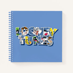 LOONEY TUNES™ Characters in Lettering Notebook