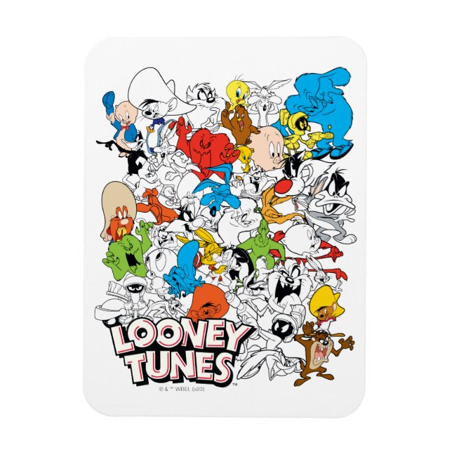LOONEY TUNES™ Colour Pop Pattern Magnet (Vertical)