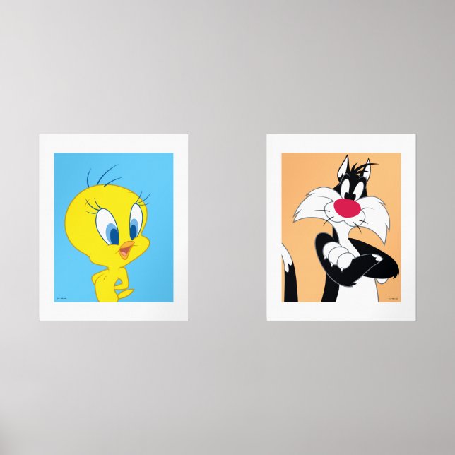LOONEY TUNES™ TWEETY™ & Sylvester (Recto)