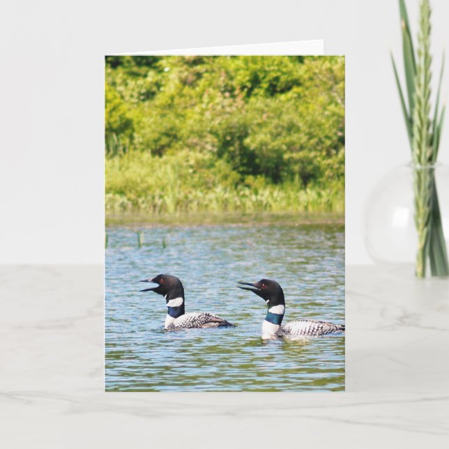 Loons Calling the Others Card (Front)
