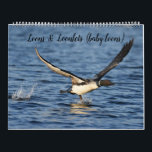 Loons & Loonlets (baby loons) Calendar<br><div class="desc">Experience an entire year of loon love. Mom's & Dad's & Loonlets (baby loons). Customize to your specifications.</div>