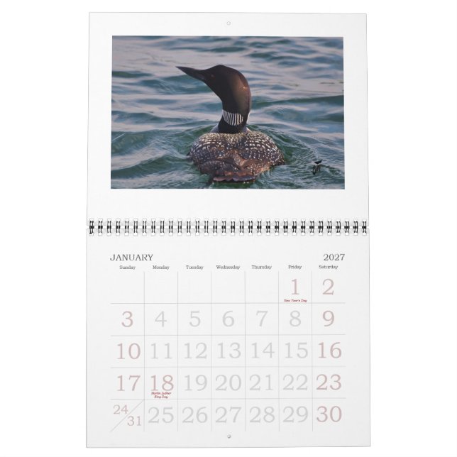 Loons on the Rideau Calendar (Jan 2027)