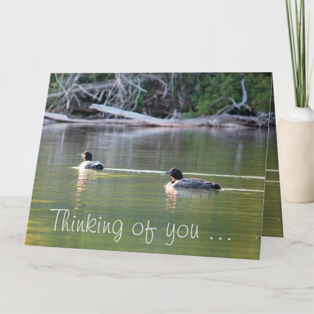 Loons On The Water Card (Front)