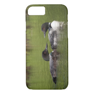 Loons with chicks phone case