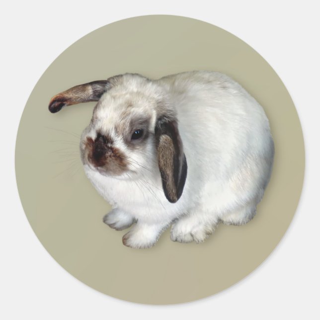 Lop-Eared Bunny Classic Round Sticker (Front)