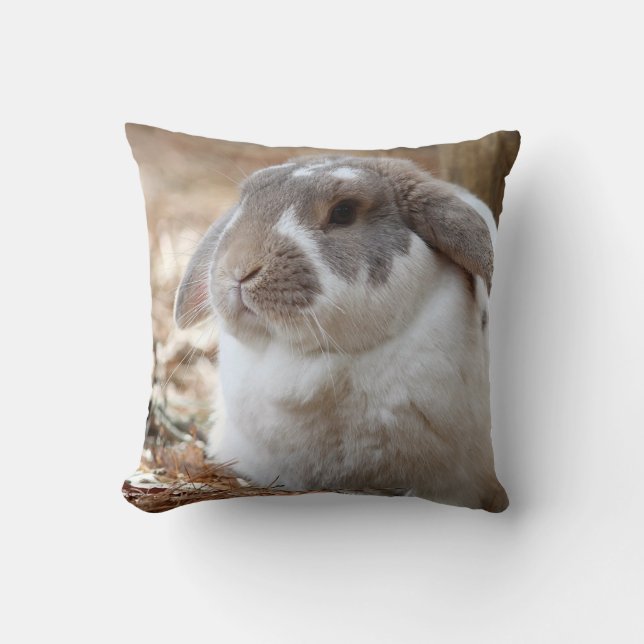 Lop-eared bunny throw pillow (Front)