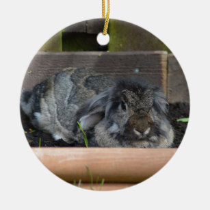 Lop eared rabbit ceramic ornament