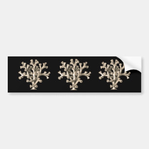 Lophohelia - Coral Bumper Sticker