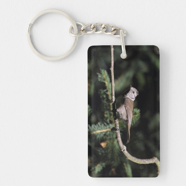 Lophophanes cristatus keychain (Front)