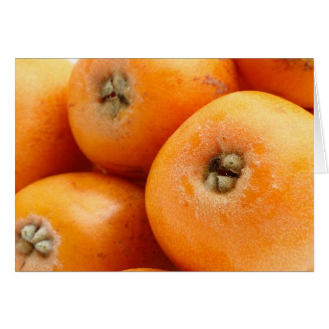 Loquats (Front Horizontal)