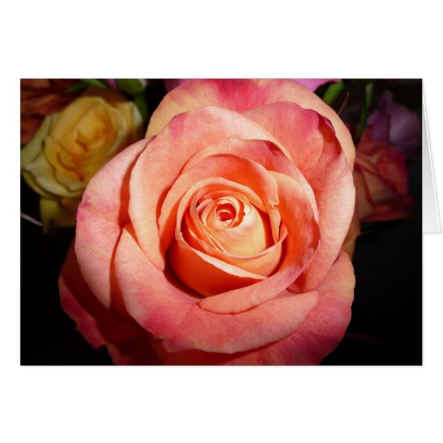 L'orange s'est levée (Devant horizontal)