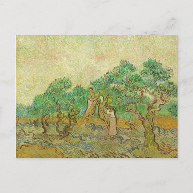 L'Orchard d'Olivier par van Gogh Carte Postale (Devant)