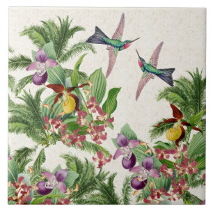 L'orchidée d'oiseaux de colibri fleurit le carreau