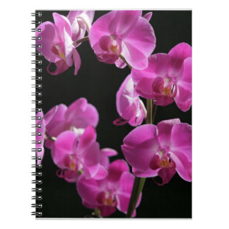 L'orchidée fleurit carnet