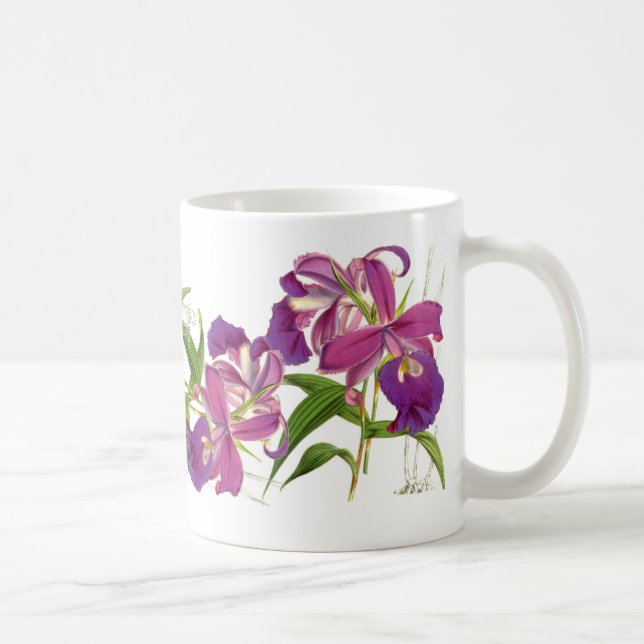 L'orchidée vintage fleurit la tasse (Droite)