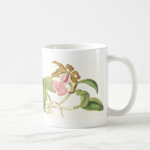 L'orchidée vintage fleurit la tasse